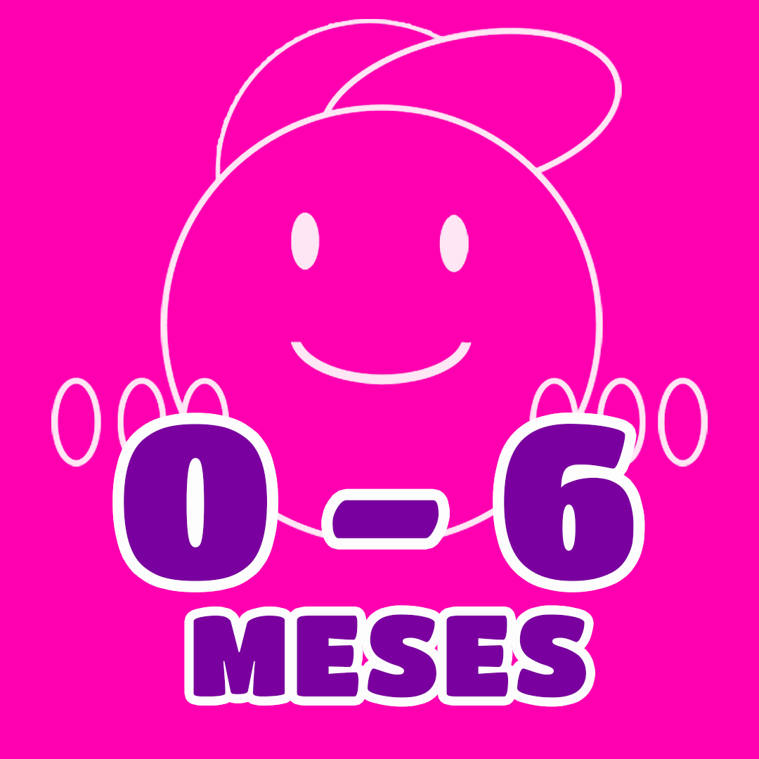 0 - 6 meses