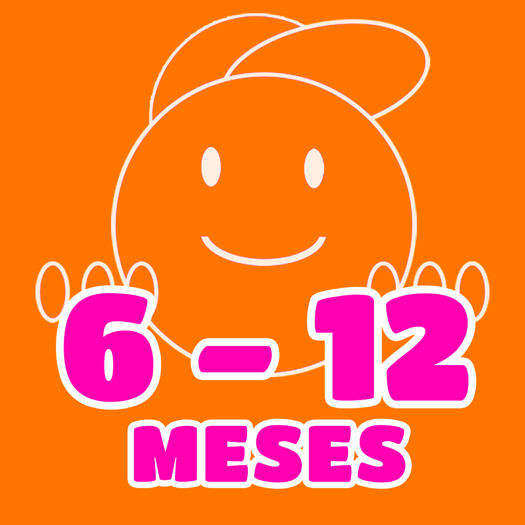 6 - 12 meses